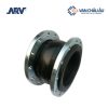 Khớp nối mềm ARV