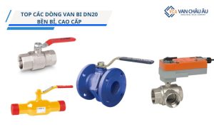 van bi dn20