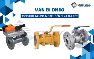 van bi dn80