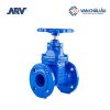 Van cổng ty chìm ARV DN100
