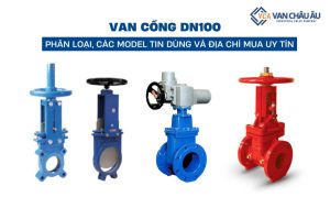 van cổng dn100