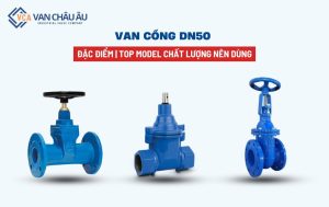 van cổng dn50