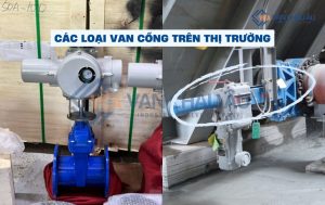 các loại van cổng