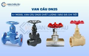 van cầu dn25