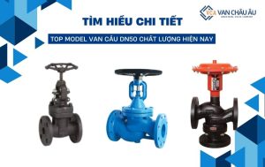 van cầu dn50