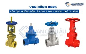 van cổng dn25