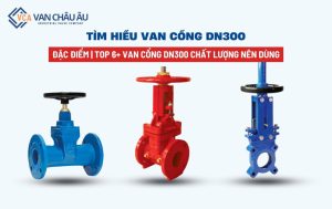 van cổng dn300