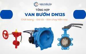 van bướm dn125
