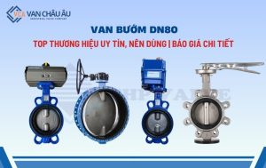van bướm dn80