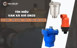 van xả khí dn25