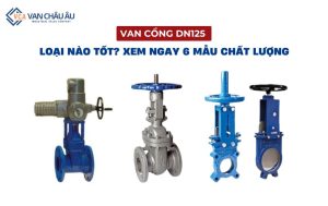 van cổng dn125