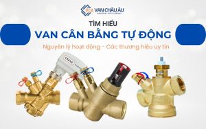 van cân bằng tự động