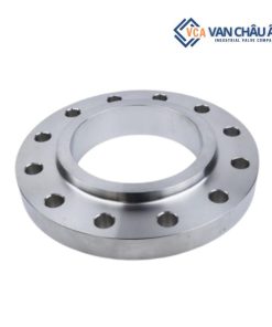 Mặt bích rỗng 12 lỗ JIS