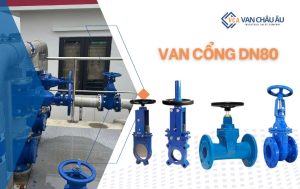 van cổng dn80