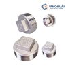 Nút bịt ren ngoài inox