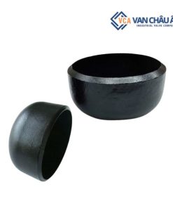 Nút bịt thép hàn SCH40