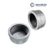 Nút bịt thép ren trong mạ kẽm