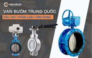 van bướm trung quốc